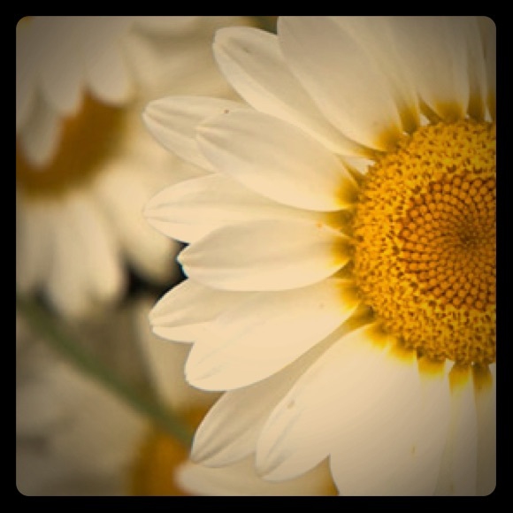 Meet your Posher, Sarah - Picture 1 of 1